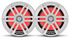 Морская акустика Rockford Fosgate M1-65